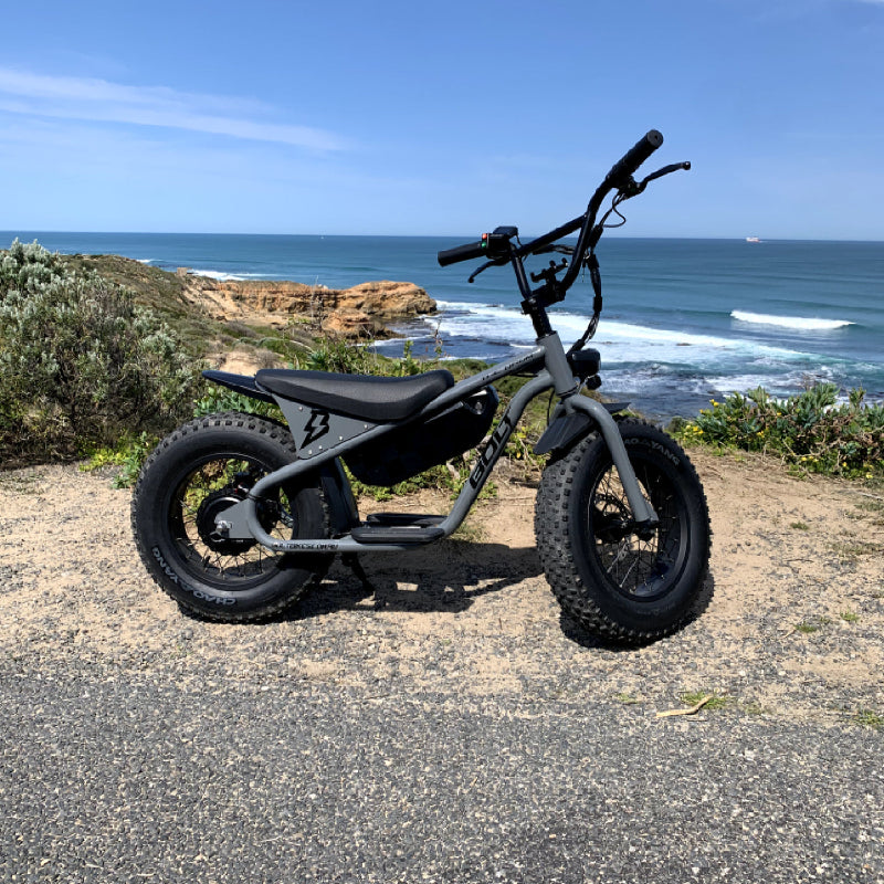 Larger Adult Handlebar